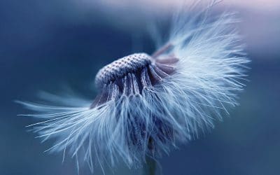 Coping With Stress In Difficult and Challenging Times